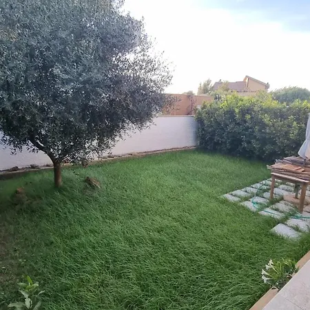 Noah's House