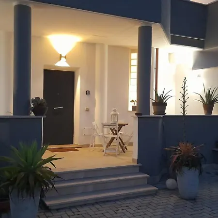 Noah's House *