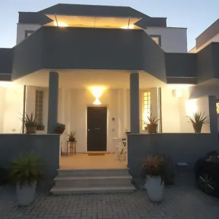 Noah's House Focene