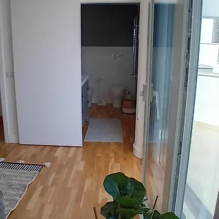 Noah's House Focene