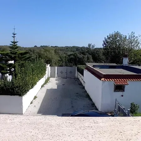 Noah's House Focene