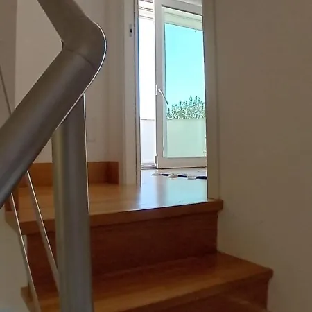 Noah's House * Focene