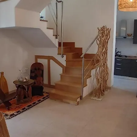 Noah's House * Focene
