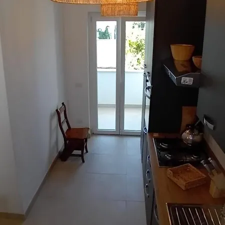 Noah's House *
